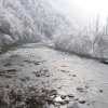 brucello-sanbuca pistoiese 009